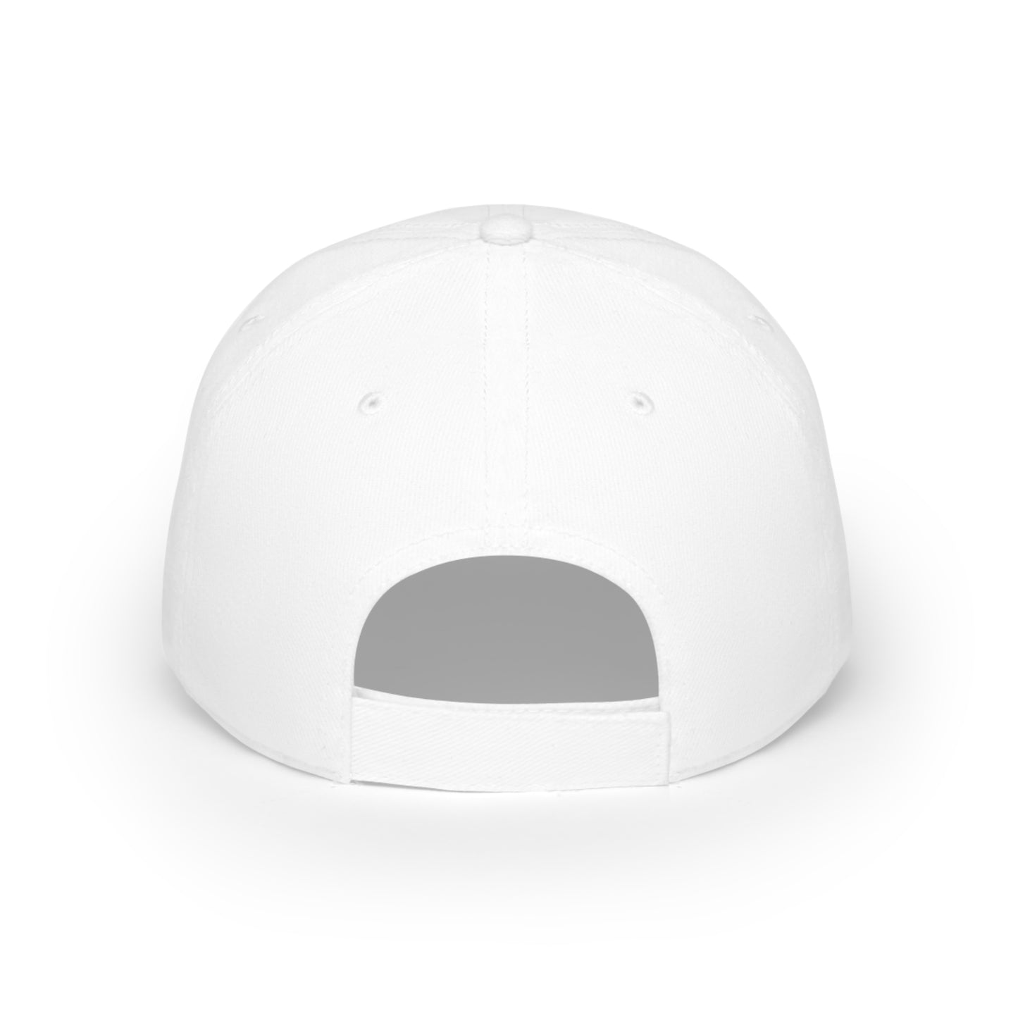 3DPass Low Profile Baseball Cap by FPI